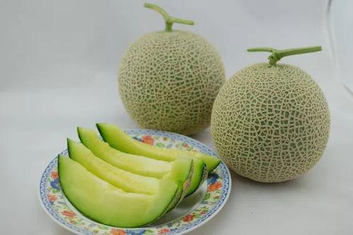 吃瓜不分家,共享娱乐盛宴