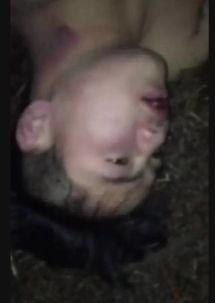 因为吃瓜意外死亡,悲剧背后的食品安全警示