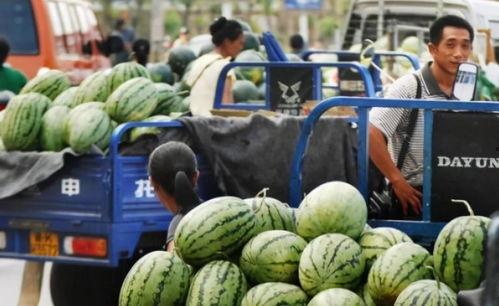 拉宏桑吃瓜,揭秘娱乐圈幕后真相