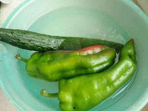 贫血吃鸡瓜好吗,营养滋补助康复