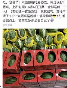 吃瓜奖品,揭秘吃瓜大奖背后的惊喜与乐趣