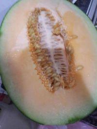 吃哈密瓜冻的哈密瓜,从新鲜哈密瓜到美味佳肴的华丽转身