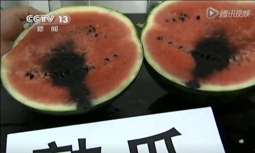 卖瓜的吃瓜视频大全最新,揭秘卖瓜吃瓜视频大全背后的趣味与智慧